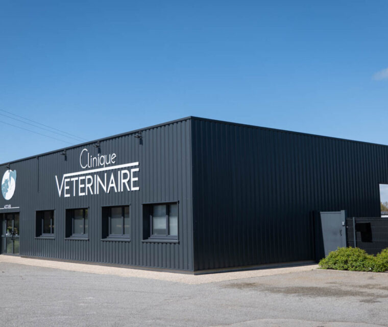 construction-clinique-veterinaire-traits-de-caractere